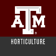 Texas A&M University Logo